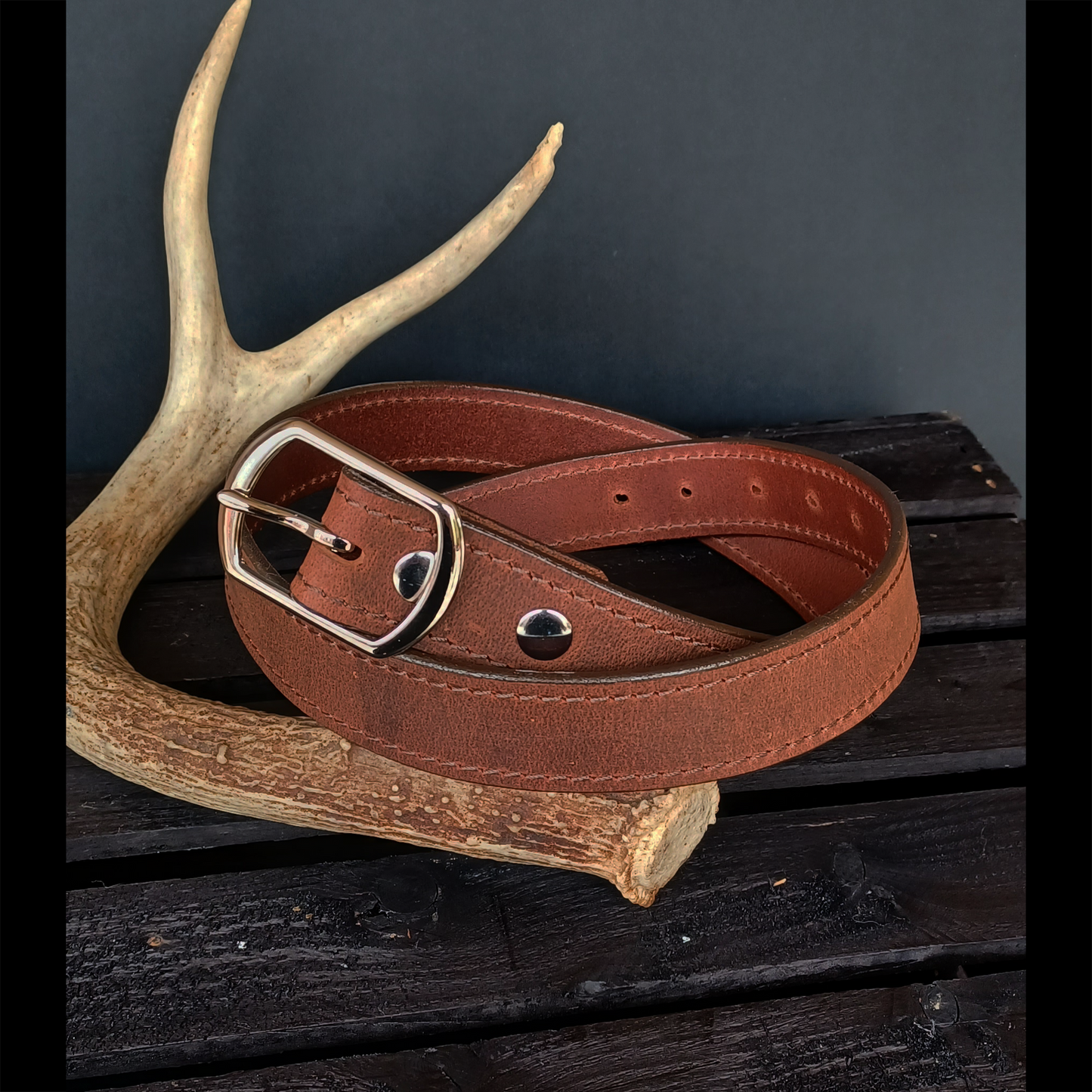 Buffalo Belt. Stainless Steel Buckle #5