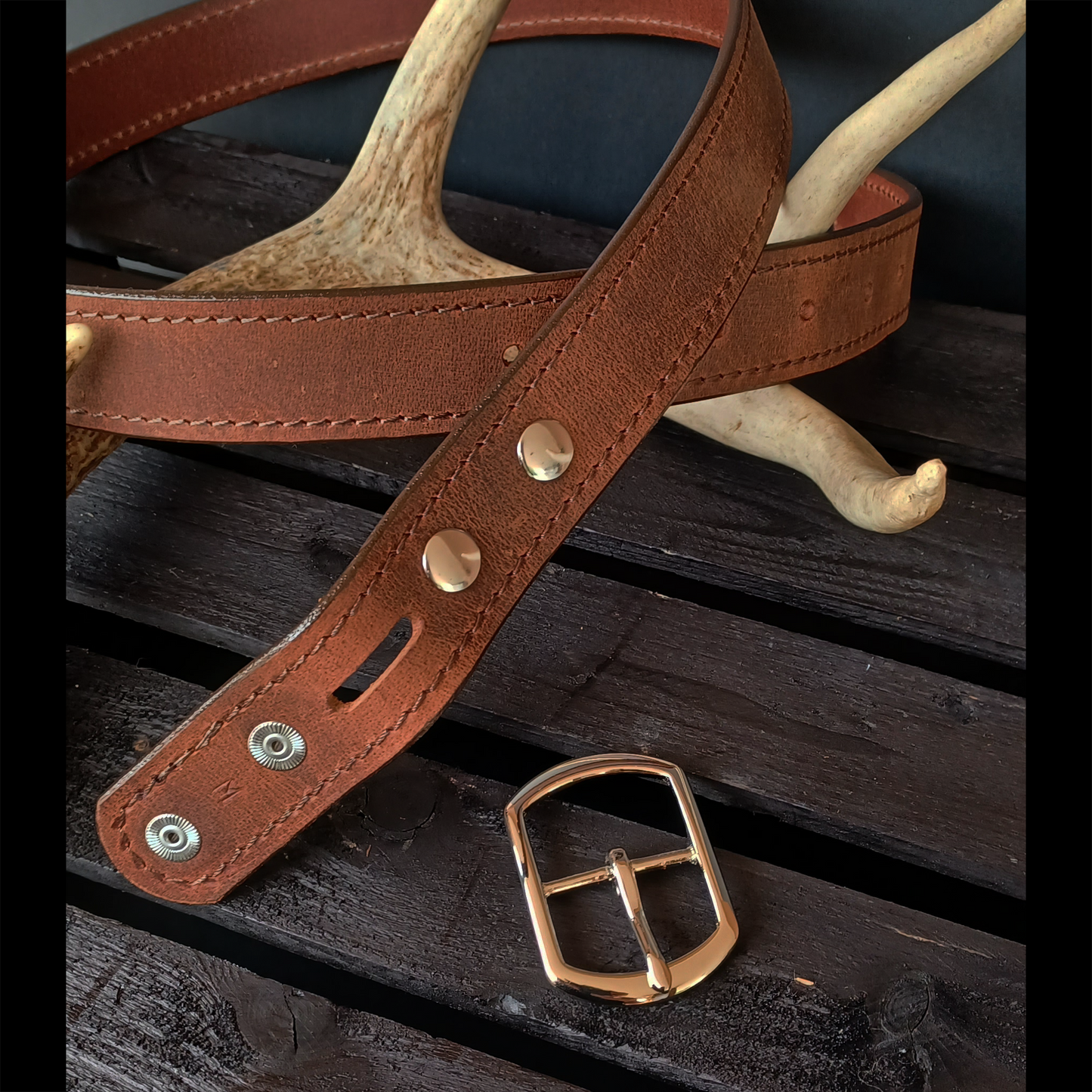 Buffalo Belt. Stainless Steel Buckle #5
