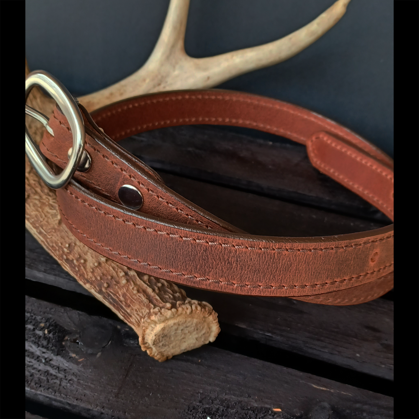 Buffalo Belt. Stainless Steel Buckle #5