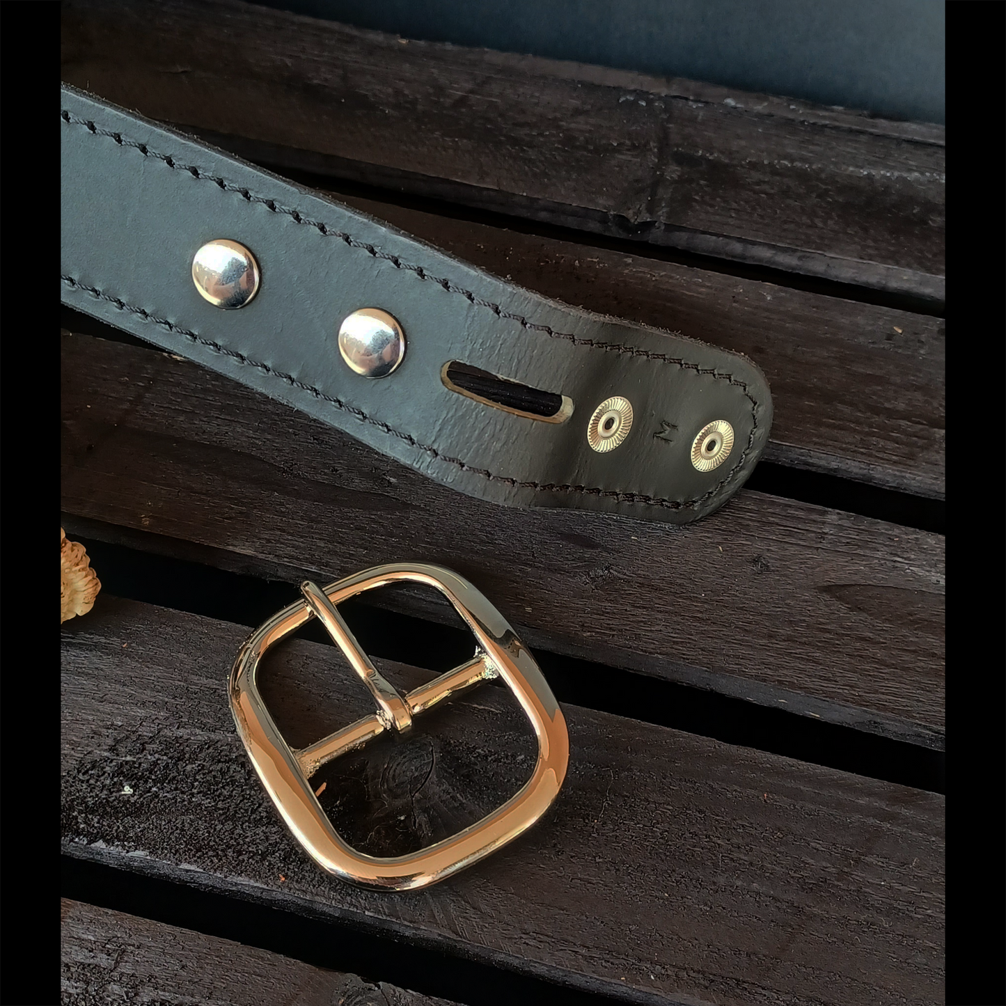 Black Buffalo Belt. Black Stitch #211