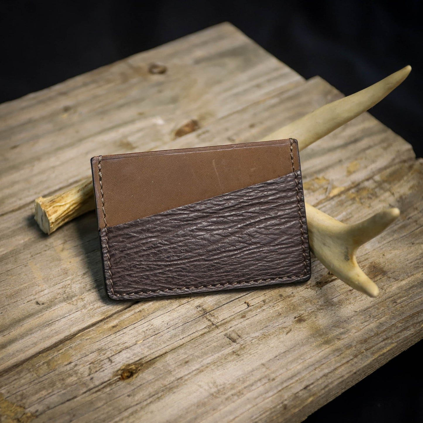 SBL Basic Card Wallet Exotic Shark #31