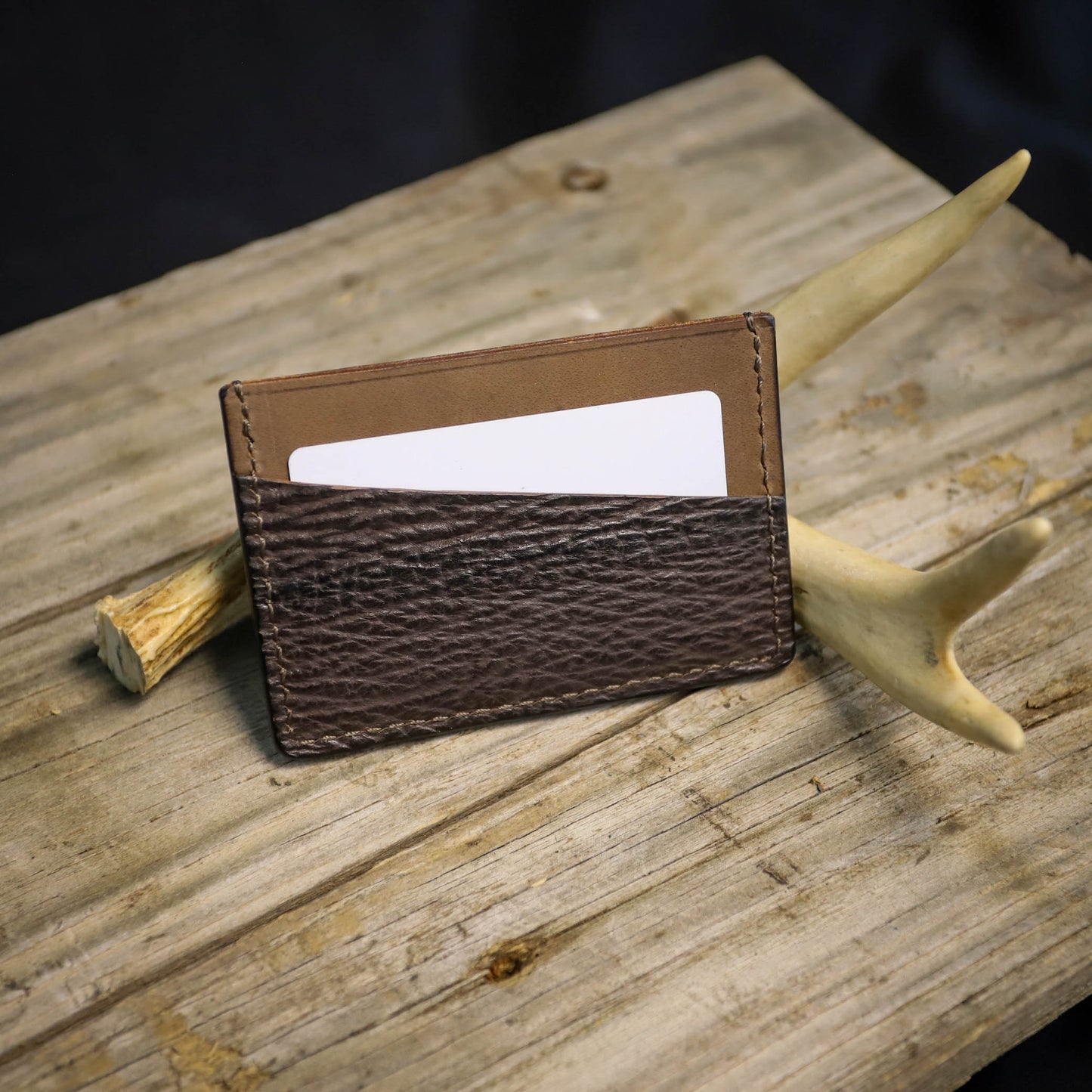 SBL Basic Card Wallet Exotic Shark #31