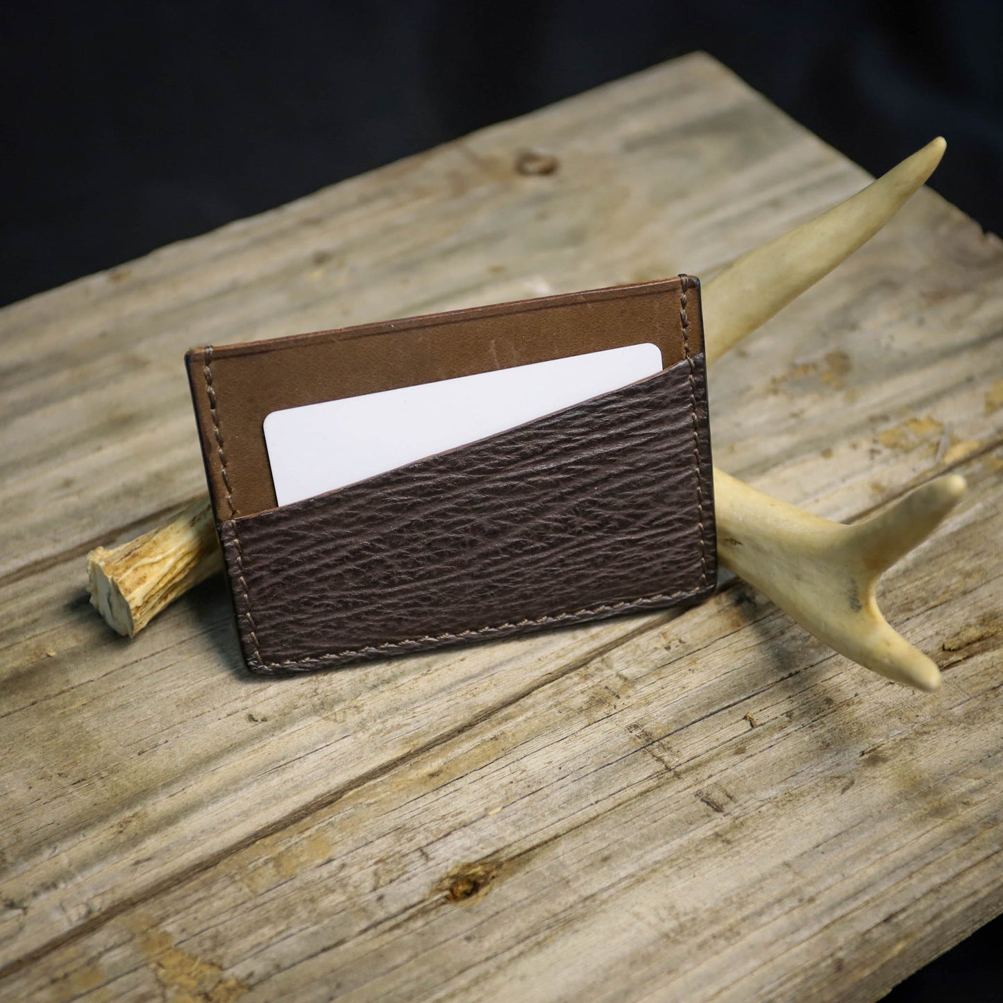 SBL Basic Card Wallet Exotic Shark #31