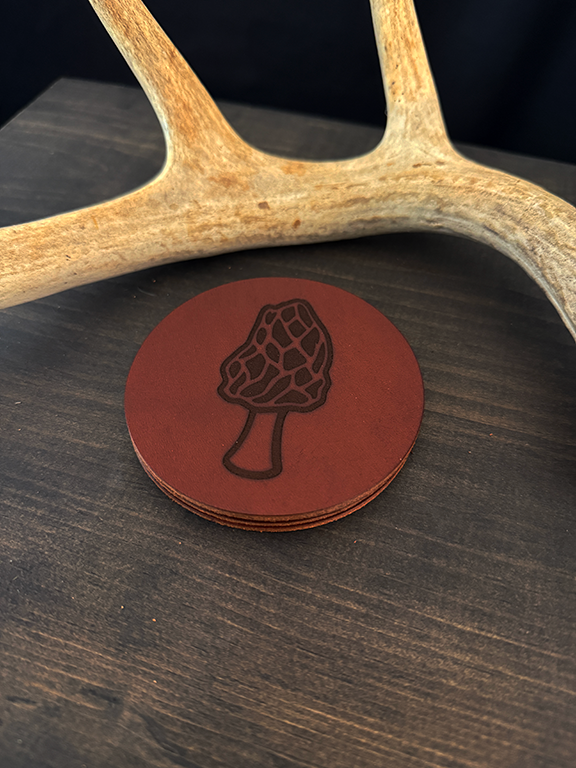 Morel Mushroom Coasters #186